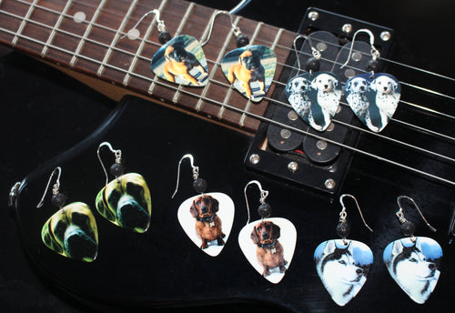 Diffuser Guitar Pick Earrings