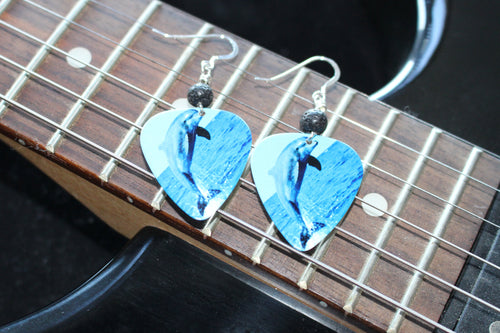 Diffuser Guitar Pick Earrings