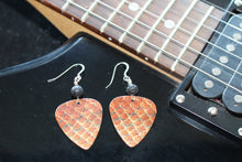 Diffuser Guitar Pick Earrings